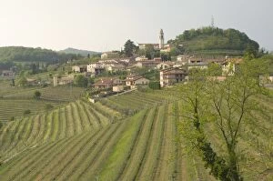 Evening, vineyards above Soave wine area, Veneto, Italy, Europe