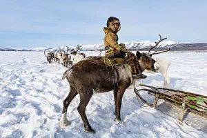 Boys Prints: Evenk boy sitting on a reindeer, Oymyakon, Sakha Republic (Yakutia), Russia, Eurasia