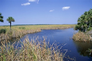 World Heritage Prints: Everglades National Park