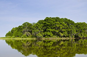 Everglades Prints: Everglades, UNESCO World Heritage Site, Florida, United States of America, North America