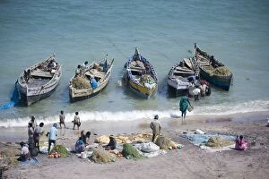 Everybody joins in as the mornings catch of fish is unloaded, Dhanushkodi
