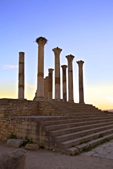 Excavated Roman City, Volubilis, UNESCO World Heritage Site, Morocco, North Africa, Africa