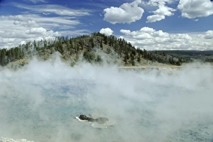 Thermal Prints: Excelsior Geyser Crater