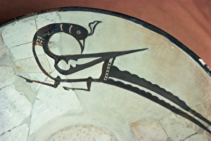 Exhibit in Archaeology Museum