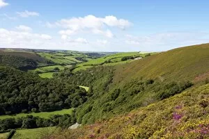 Images Dated 15th September 2010: Exmoor from County Gate, looking towards Brendon, Exmoor National Park