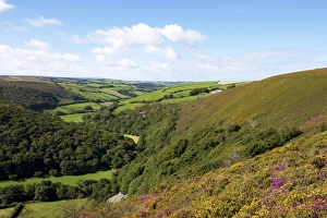 Exmoor from County Gate, looking towards Brendon, Exmoor National Park