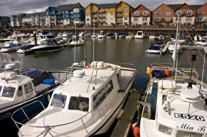 Images Dated 11th August 2008: Exmouth, Devon, England, United Kingdom, Europe