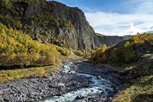 Season Prints: Experience autumn colors in the valley near Mount Elbrus with trees and river in Kabardino-Balkaria