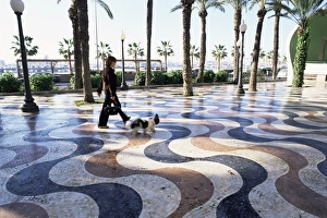 Alicante Prints: Explanada de Espana