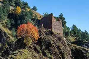 Ecology Prints: Exploration of an abandoned mountain village among trees and hills in Chechnya
