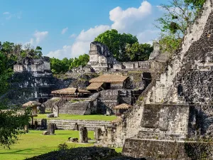 Acropolis Prints: Exploration of ancient structures in North Acropolis at Tikal