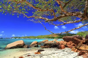 Azure Prints: Exploration of Anse Georgette beach reveals natural beauty and clear waters on Praslin island