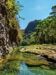 Undergrowth Prints: Exploration of natural pools at Cahabon River in Semuc Champey natural monument in Guatemala
