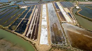 Ecology Prints: Exploration of saltpans and coastal landscapes near Tavira in Algarve region of Portugal during sunny day