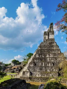 Jaguar Prints: Exploration of Temple I in Tikal
