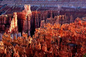 Hoodoos Prints: Exploration of unique rock formations at Bryce Canyon during the day under clear sky in Utah