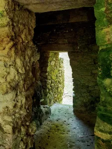 Passage Prints: Explore the ancient structures within Group A at Uaxactun Archaeological Site in Guatemala's Peten Department