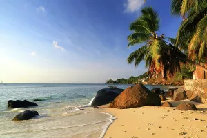 Rest Prints: Explore Beau Vallon Beach in Seychelles during sunset with palm trees and calm waters