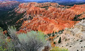Bryce Prints: Explore Bryce Canyon and its unique rock formations during the day in Utah