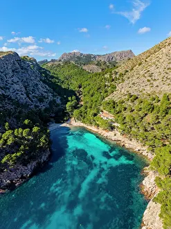 Swimming Prints: Explore cala Murta beach on the Formentor peninsula in Mallorca