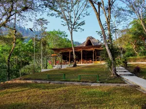 Friends Prints: Explore Hostal Oasis The Traveler set in the lush landscape of Lanquin Guatemala