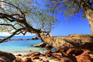 Friends Prints: Explore natural beauty and rocky shoreline at Anse Georgette on Praslin island in Seychelles