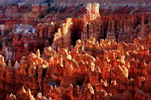 Bryce Prints: Explore the rock formations and colors of Bryce Canyon in Utah during the golden hour of evening light