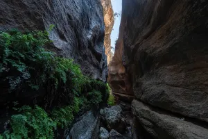 Granada Prints: Explore sandstone cliffs and dense greenery at Barranco de Luna in Villanueva Mesa
