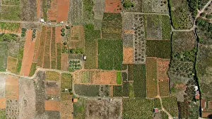 Irrigation Prints: Explore Stari Grad Plain with its diverse fields and historical layout in Croatia