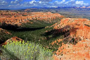 Bryce Prints: Explore the stunning rock formations and vast landscapes in Bryce Canyon during a sunny day in Utah