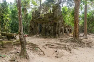 Remnants Prints: Explore Ta Prohm Temple with ancient stone walls and tree roots in the jungle of Cambodia near Siem Reap