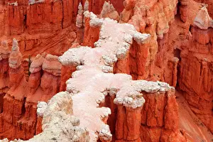 Boulders Prints: Explore unique rock formations and trails in Bryce Canyon during bright daylight in Utah