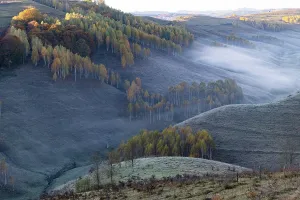Romania Prints: Explore vibrant autumn trees and rolling hills in Romania's countryside during the early morning light