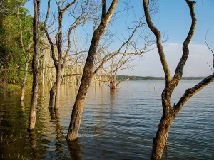 Yaxha Prints: Explore Yaxha Lake surrounded by trees at Yaxha Archaeological Site in Guatemala