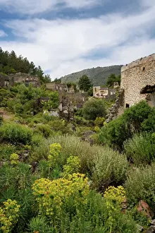 Overgrown Prints: Exploring the abandoned houses of Kayakoy surrounded by lush vegetation in Fethiye Turkey