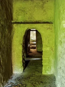 Sites Prints: Exploring ancient pathways at Group A of Uaxactun Archaeological Site in Guatemala