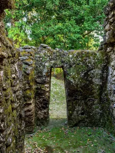 Doorway Prints: Exploring the ancient stone doorway within Group A at Uaxactun Archaeological Site in Guatemala