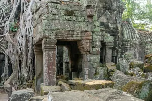 Tropics Prints: Exploring the ancient structures of Ta Prohm Temple surrounded by nature at Angkor