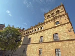 Detailed Prints: Exploring the architecture of the Palace of Monterrey in Salamanca