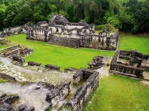 Savanna Prints: Exploring the Central Acropolis in Tikal