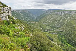 Trekking Prints: Exploring the Gorges de la Vis in the Causse region of France