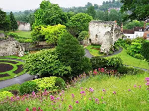 Friends Prints: Exploring the grounds of Guildford Castle in Surrey with lush greenery and historical ruins visible