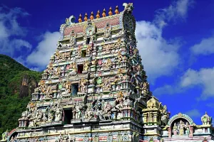 Hindu Prints: Exploring the intricate architecture of Arul Mihu Navasakthi Vinayagar Temple in Victoria