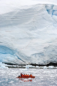 Images Dated 28th January 2005: Exploring Paradise Bay, Antarctica, Polar Regions