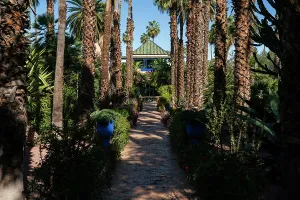 Sculptures Prints: Exploring the pathways of Majorelle Garden with palm trees and vibrant plants in Marrakech