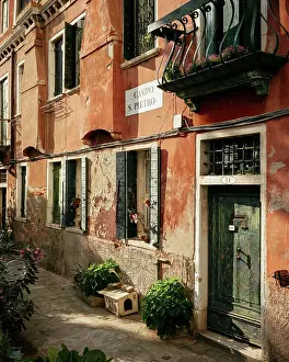Facades Prints: Exploring a quiet alley with aged walls and green plants in Venice, Italy