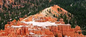 Bryce Prints: Exploring the rock formations and natural scenery of Bryce Canyon in Utah during daylight hours