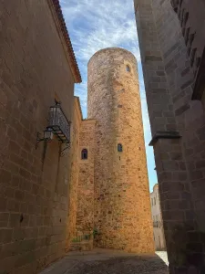 Cobblestone Prints: Exploring the Round Tower of Carvajal in Caceres