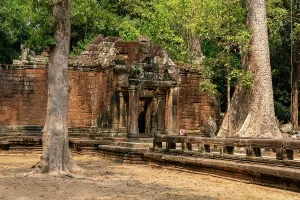 Artistry Prints: Exploring Ta Prohm Temple surrounded by trees in Siem Reap Cambodia during midday