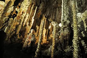 Sights Prints: Exploring the unique rock formations of Aven Armand in Cevennes National Park during a cave tour